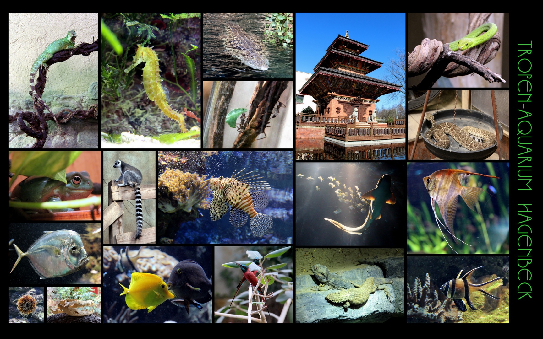 Tropen-Aquarium Hagenbeck