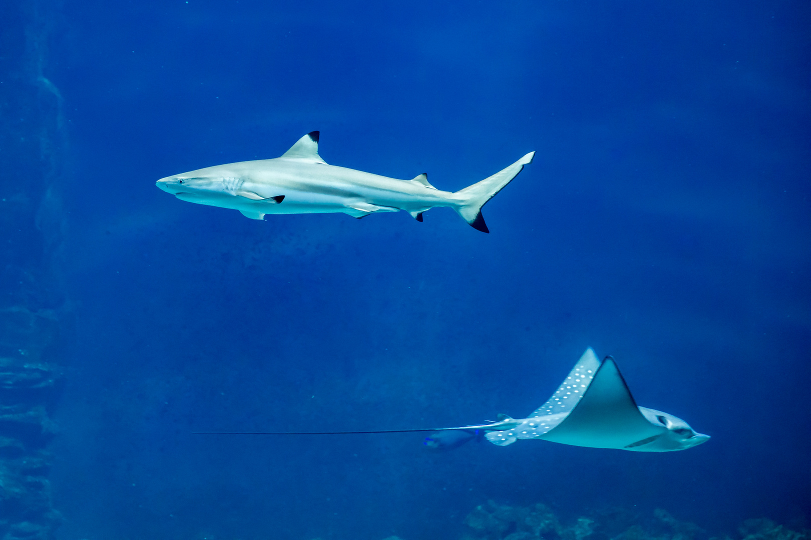 Tropen-Aquarium Hamburg