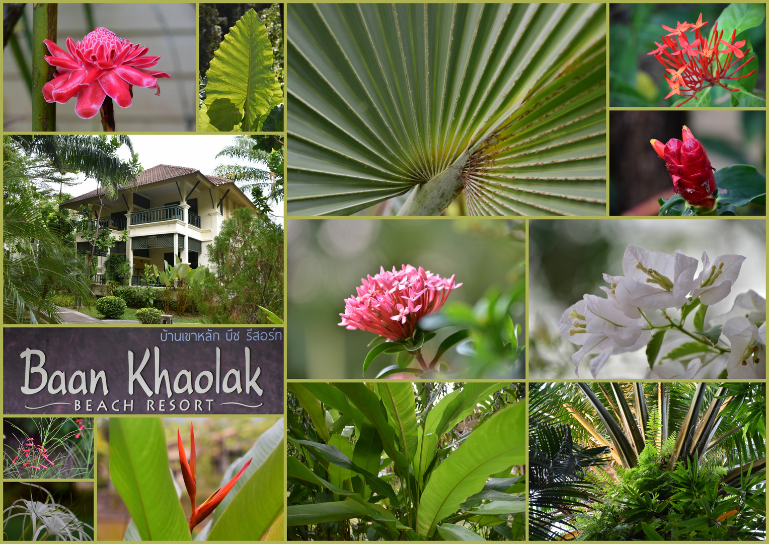 Tropen Garten von  Baan Khaolak