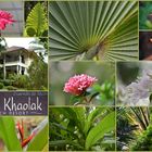 Tropen Garten von  Baan Khaolak