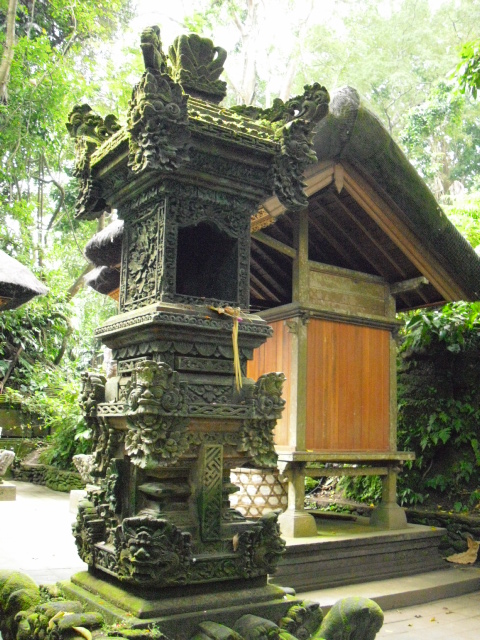 Tropen III, Bali 2009