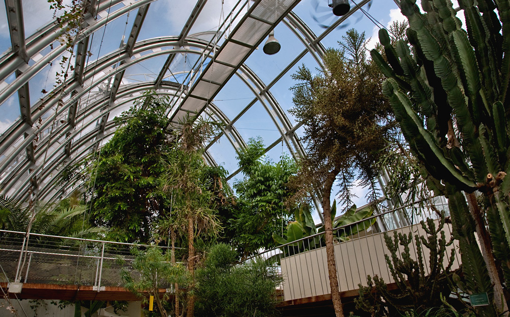 Tropenhaus im botanischen Garten in Graz! Foto & Bild