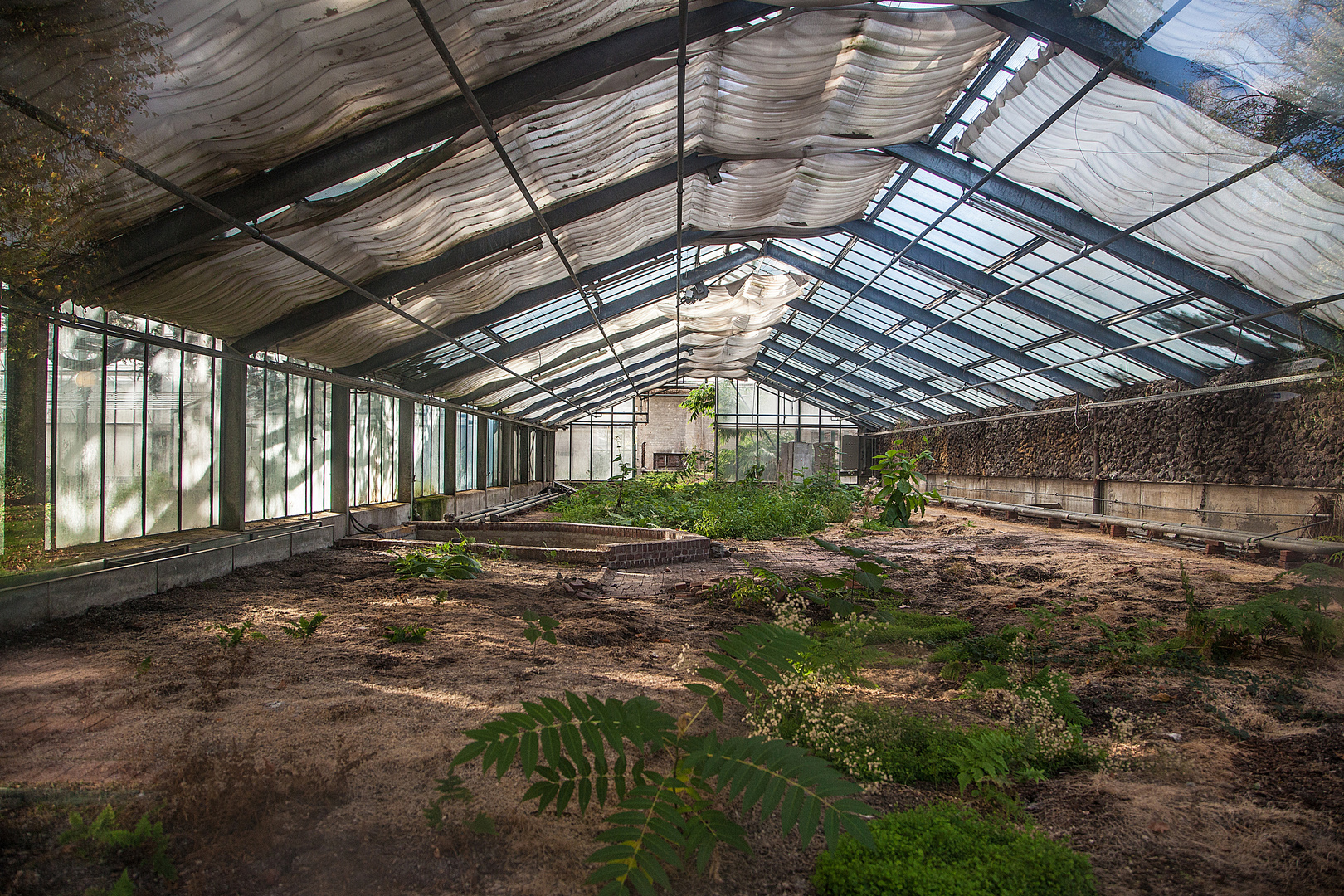 Tropenhaus im Botanischen Garten Köln