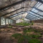 Tropenhaus im Botanischen Garten Köln