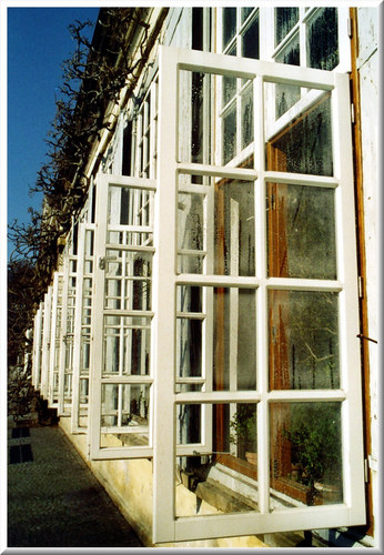 Tropenhaus Im Botanischen Garten Munster Foto Bild Landschaft