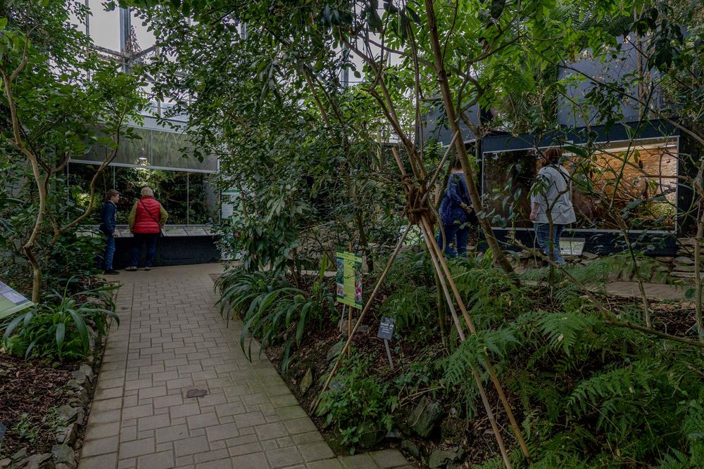 Tropenhaus "Klein Eden" Foto & Bild world, natur, bayern Bilder auf