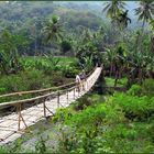 Tropenparadies Indonesien