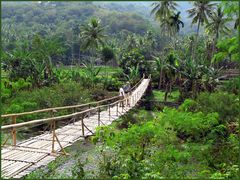 Tropenparadies Indonesien