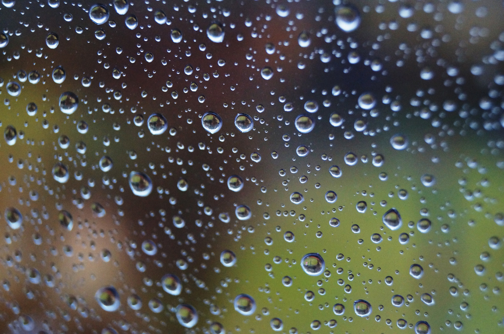 Tropfen am Fenster.