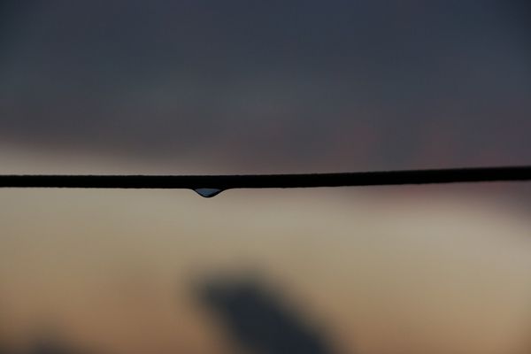 Tropfen am Stacheldraht