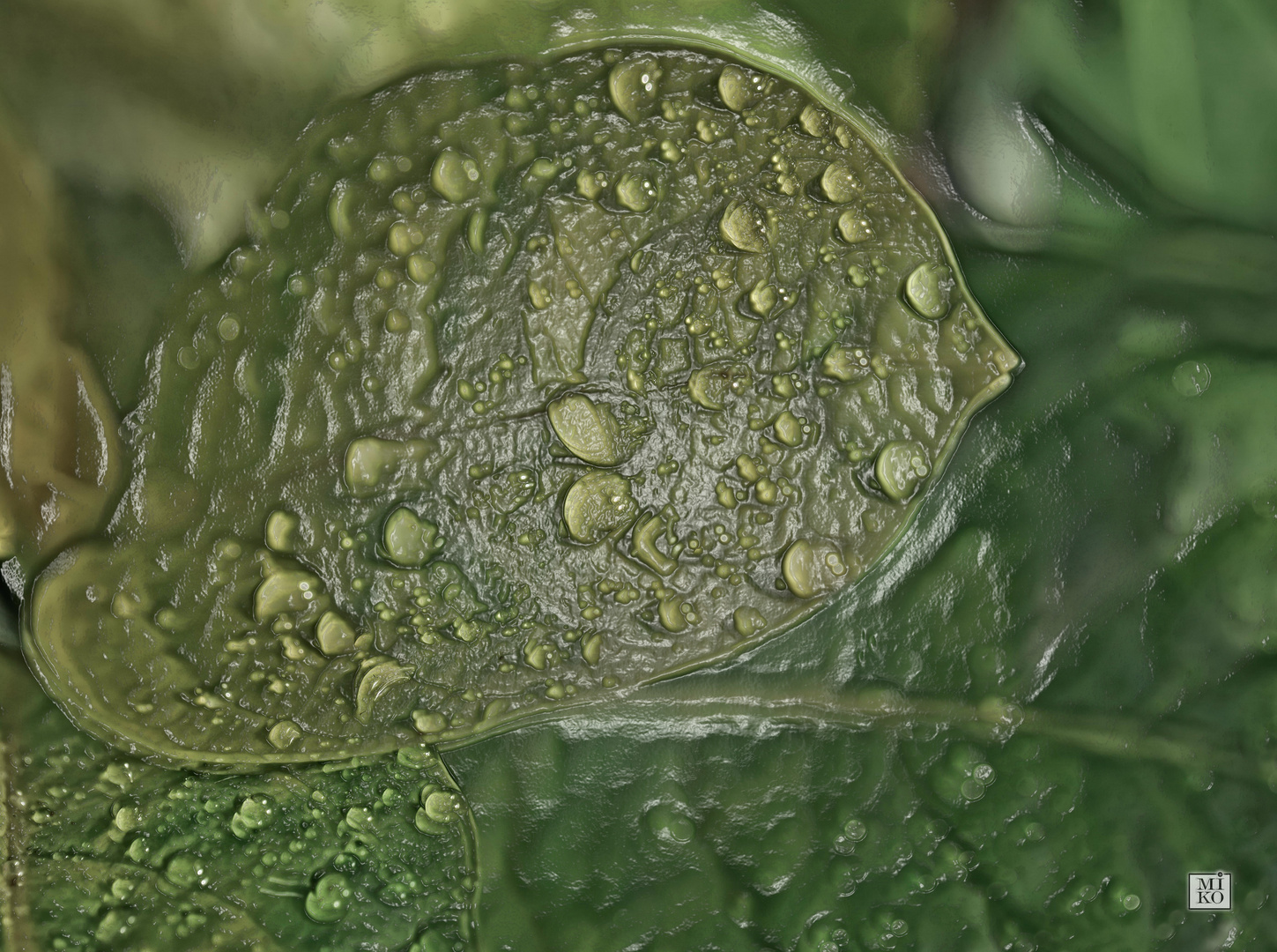 Tropfen auf Blatt