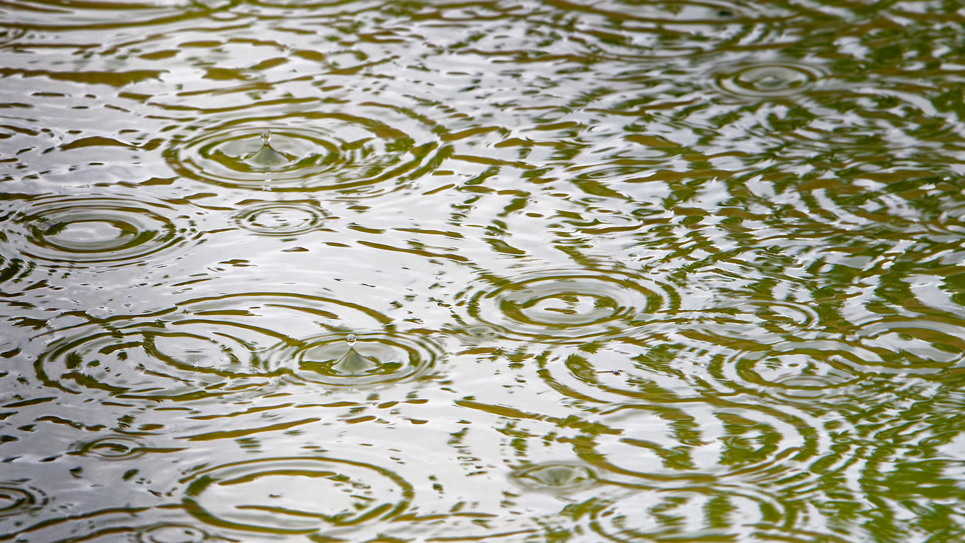 Tropfen auf dem Wasser