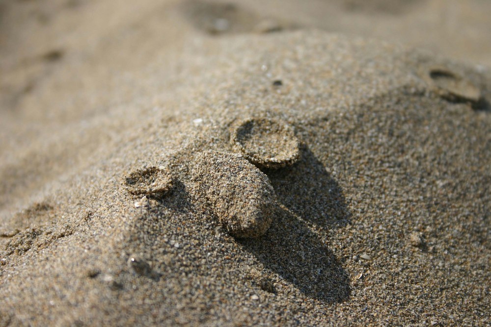 Tropfen auf den heissen Sand