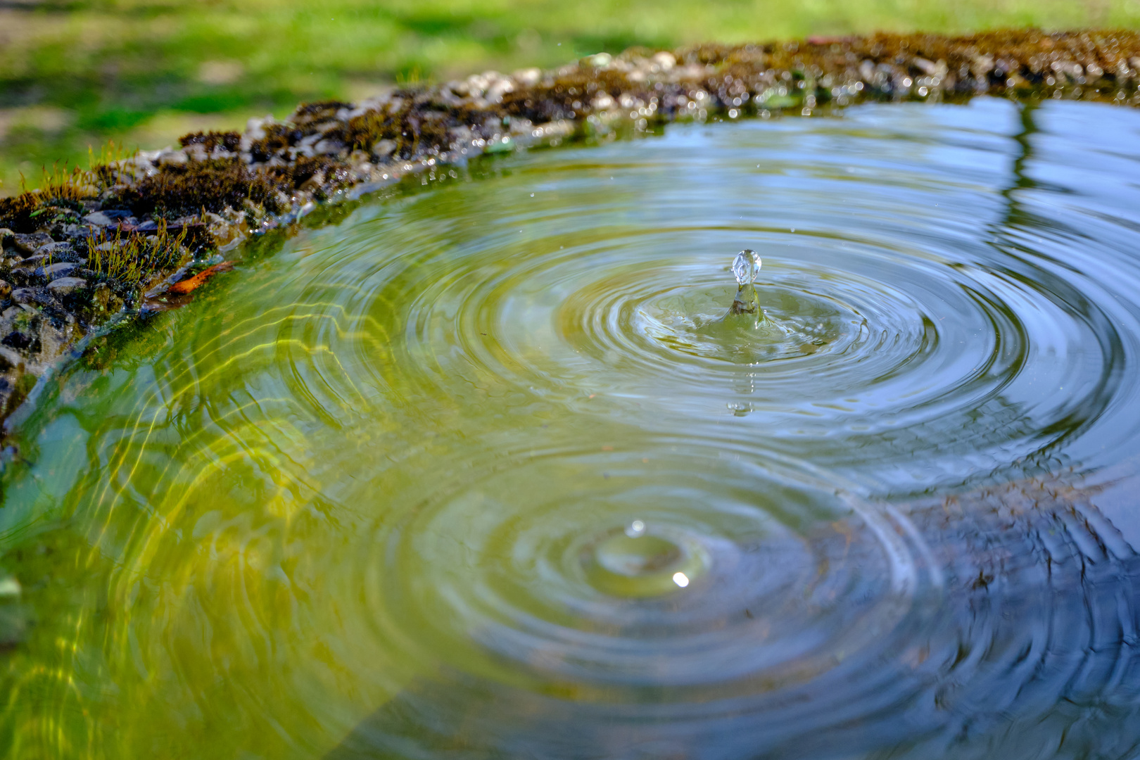 Tropfen im Gartenbrunnen