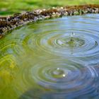 Tropfen im Gartenbrunnen