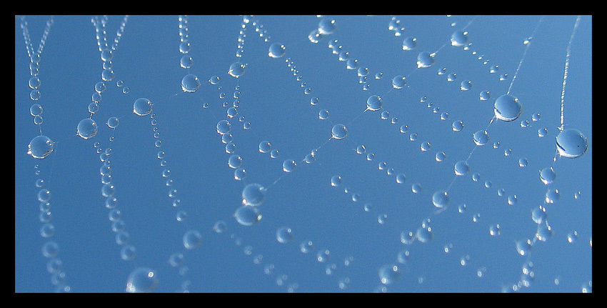 Tropfen im Licht