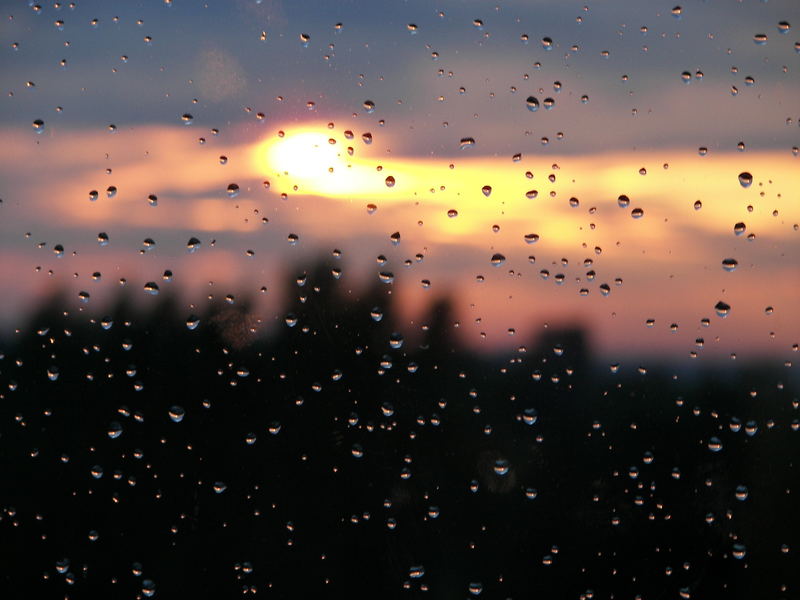 Tropfen im Sonnenuntergang