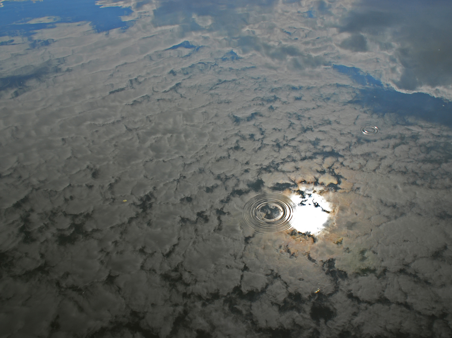 Tropfen im Wolkenmeer