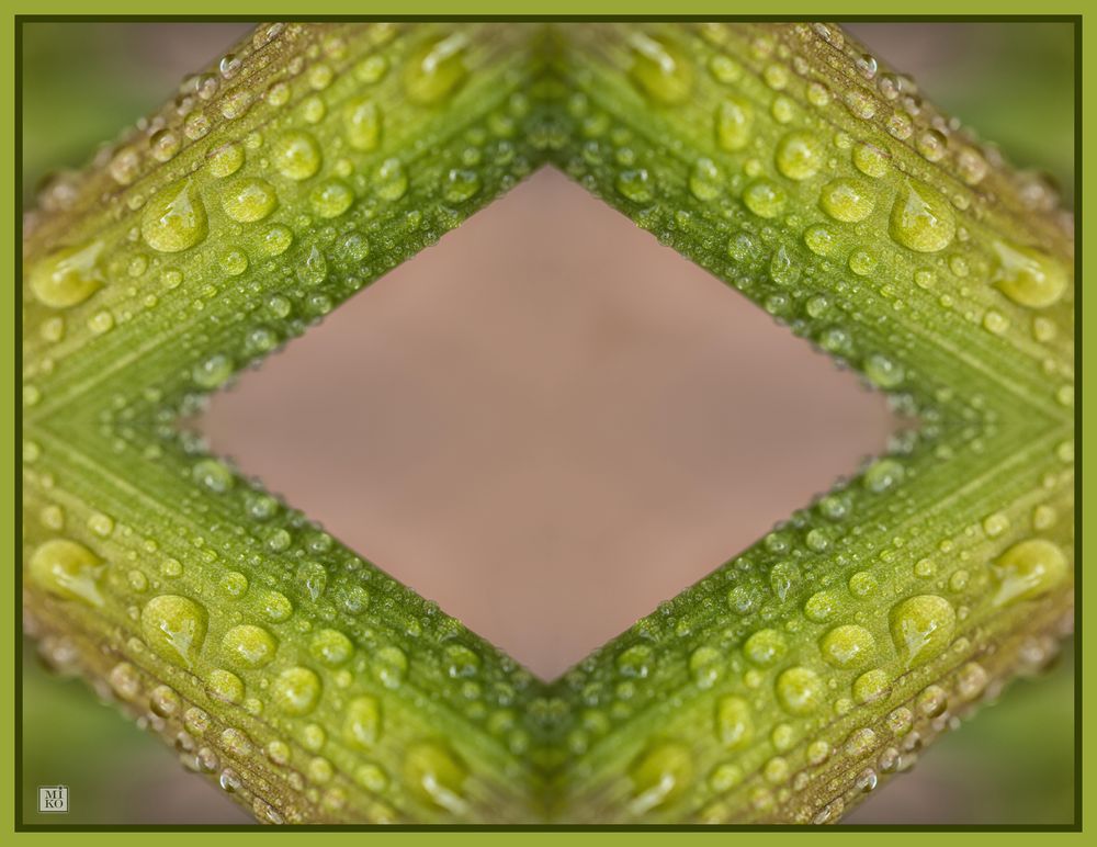 Tropfen-Raute Foto & Bild | abstraktes, sonstiges, projekte Bilder auf