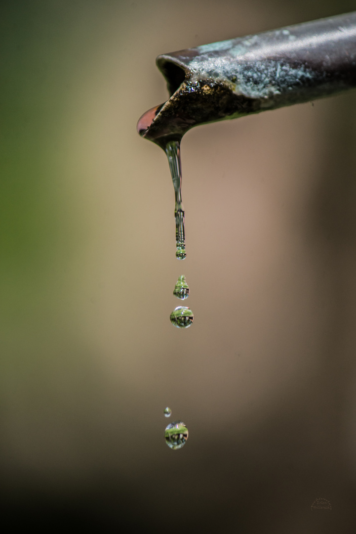 tropfender Brunnenwasserhahn