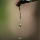 tropfender Brunnenwasserhahn