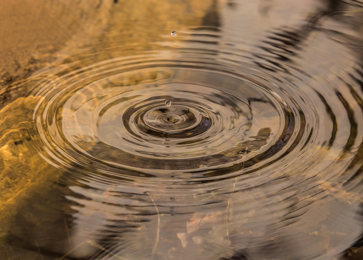 tropfender Wasserhahn