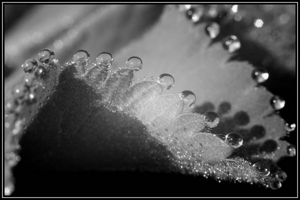 Tropfenspiel OooOooO