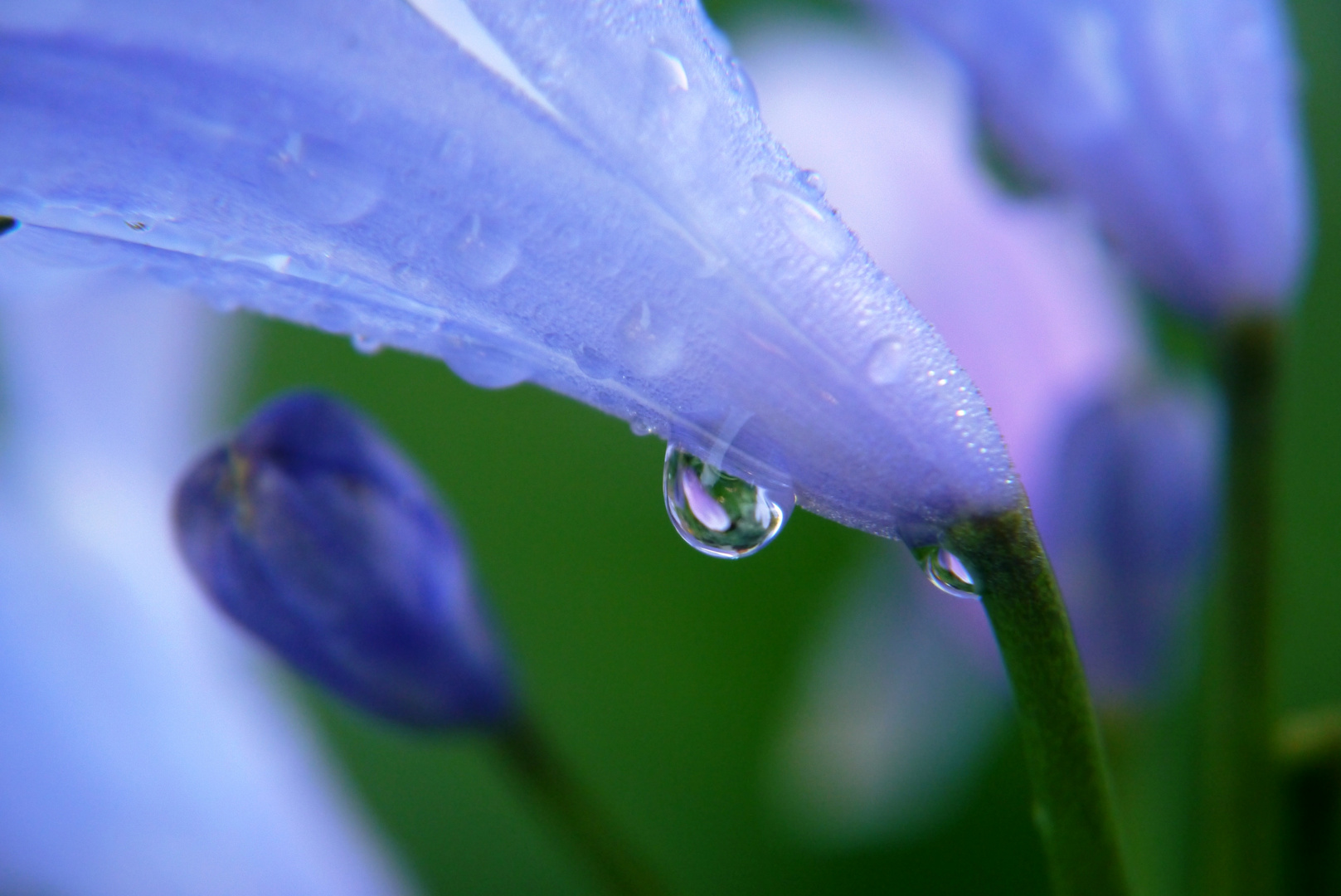 Tropfenwetter