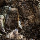 Tropfsteinhöhle - Herbstlabyrinth