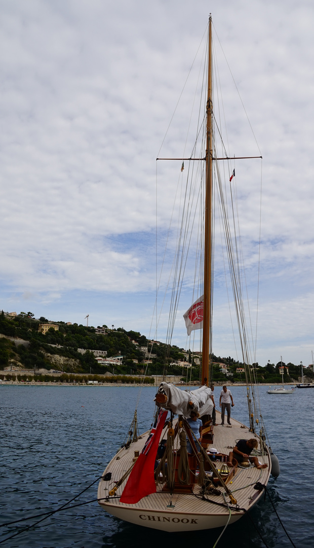 Trophèe Pasqui,,