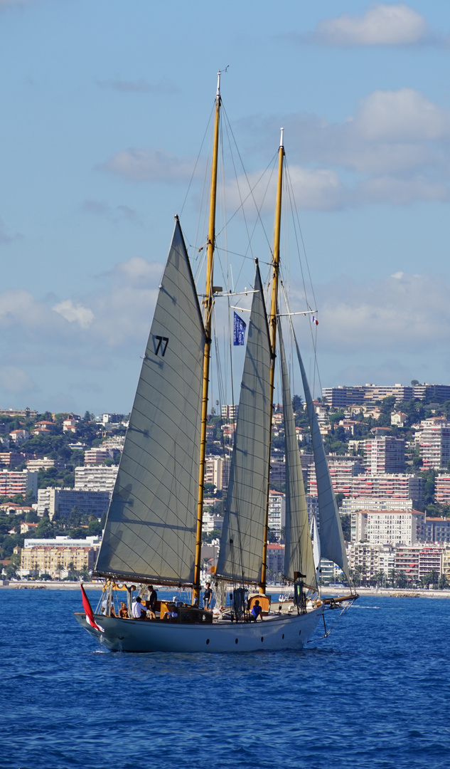 Trophèe Pasqui, Sep, 2015..