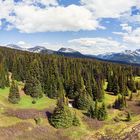 Trophy Mountain Flower Meadows