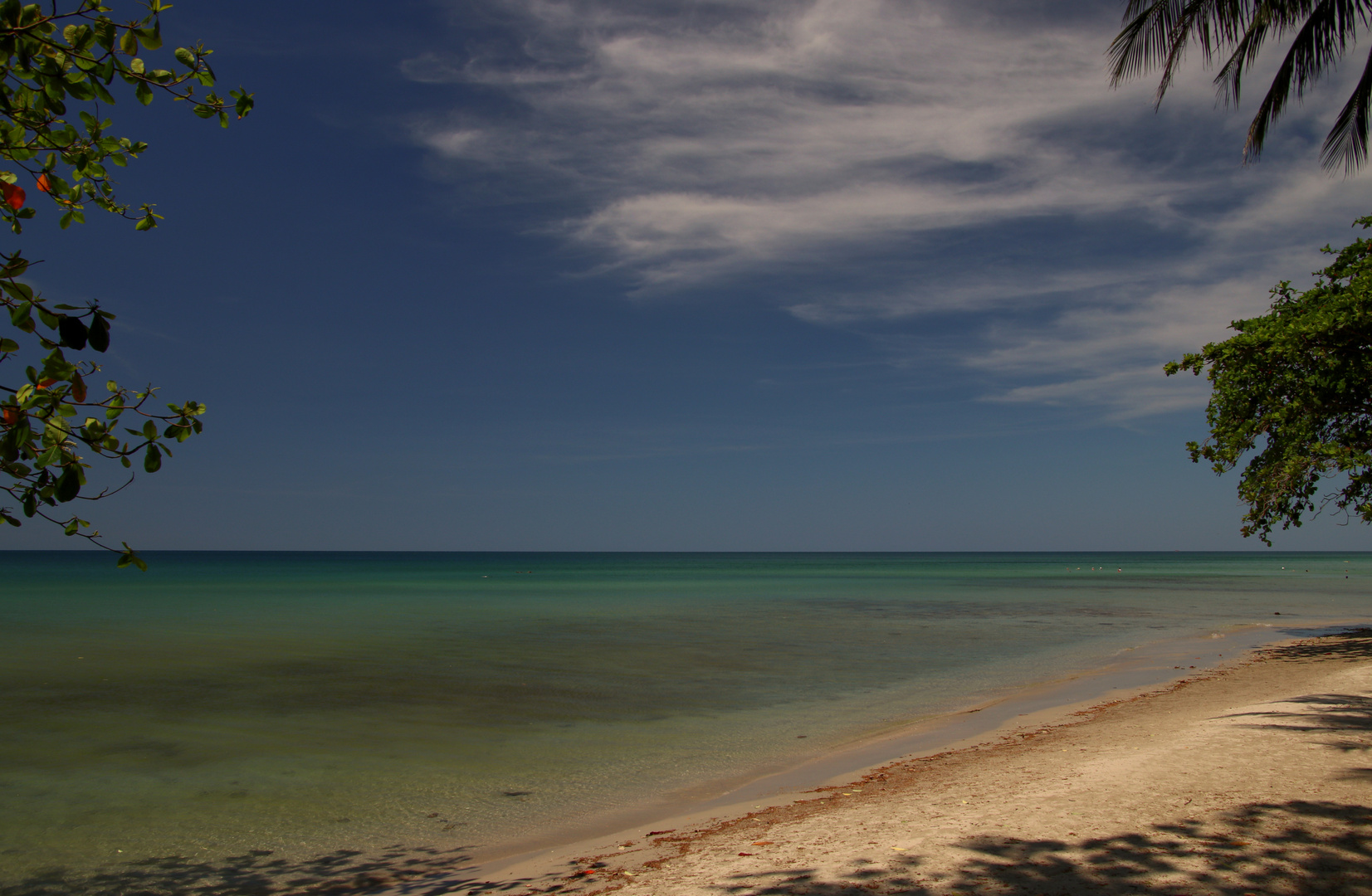 tropical beach