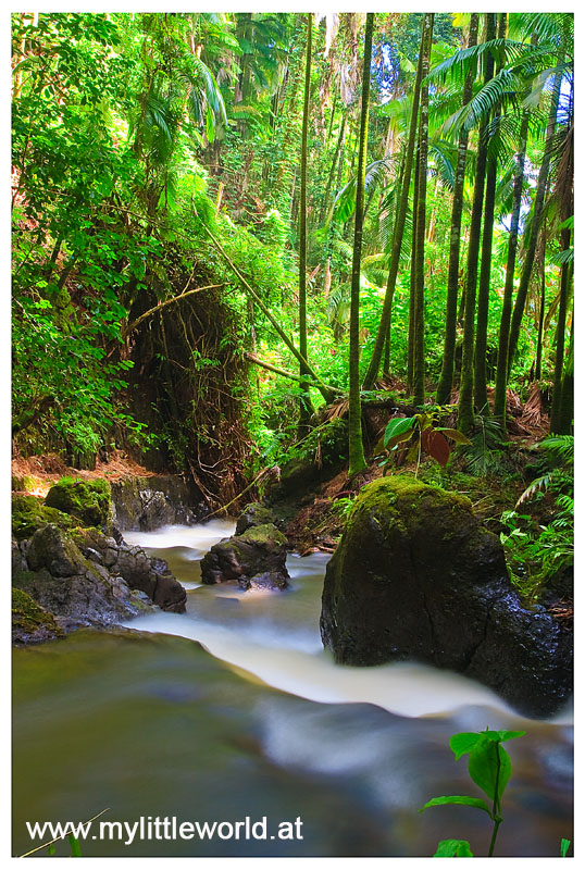 Tropical Botanical Garden auf Big Hawaii