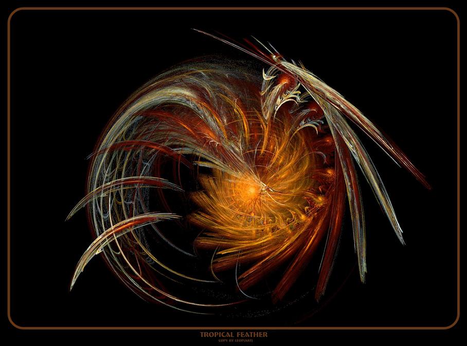 Tropical Feather von Adrian Leopold