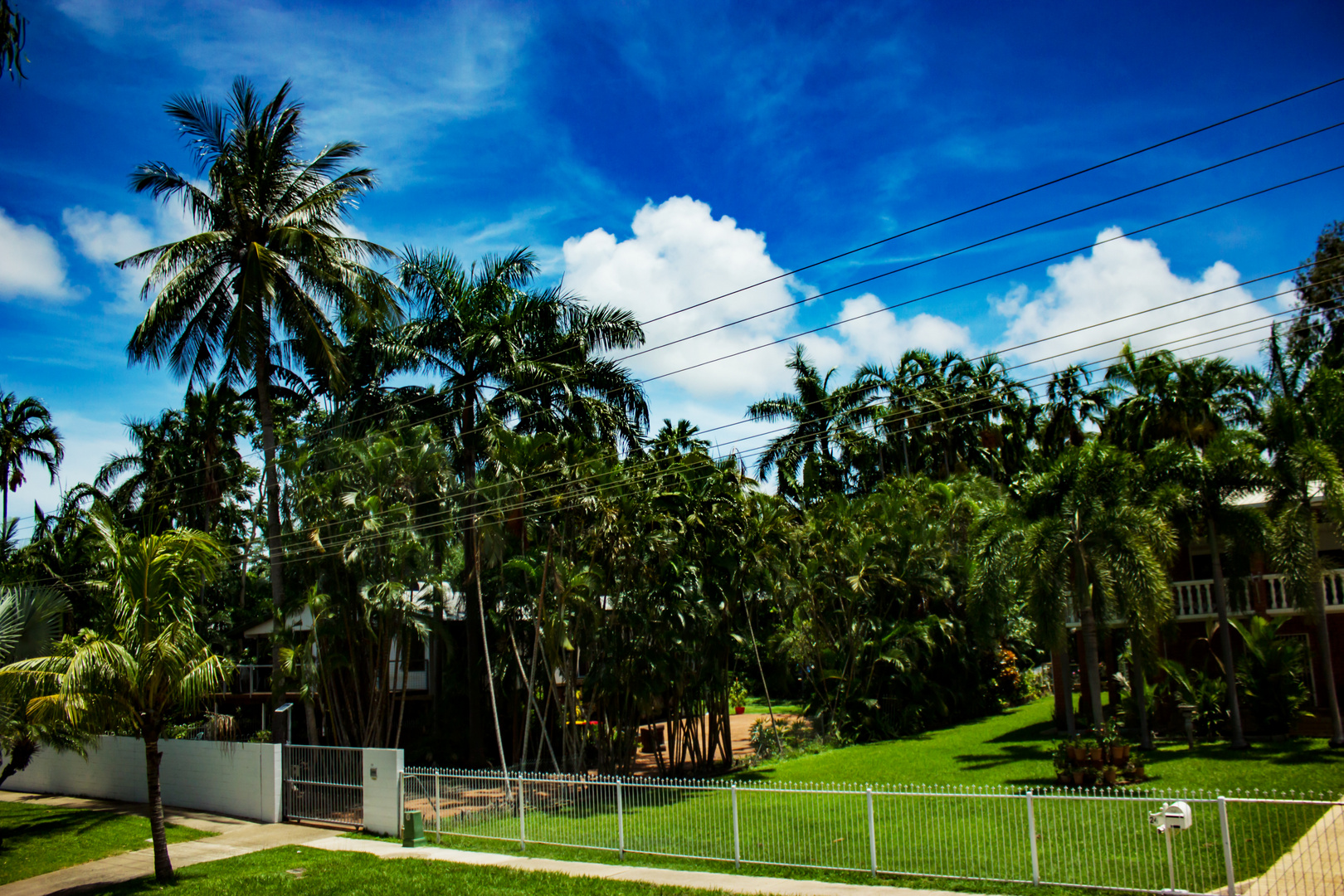 Tropical Frontyard