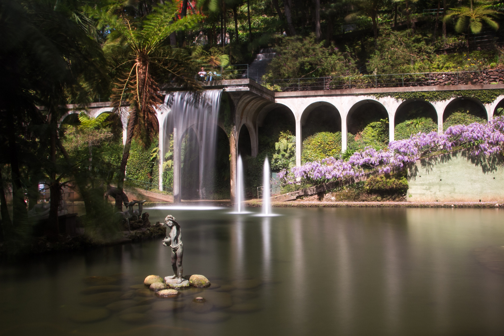 Tropical Garden