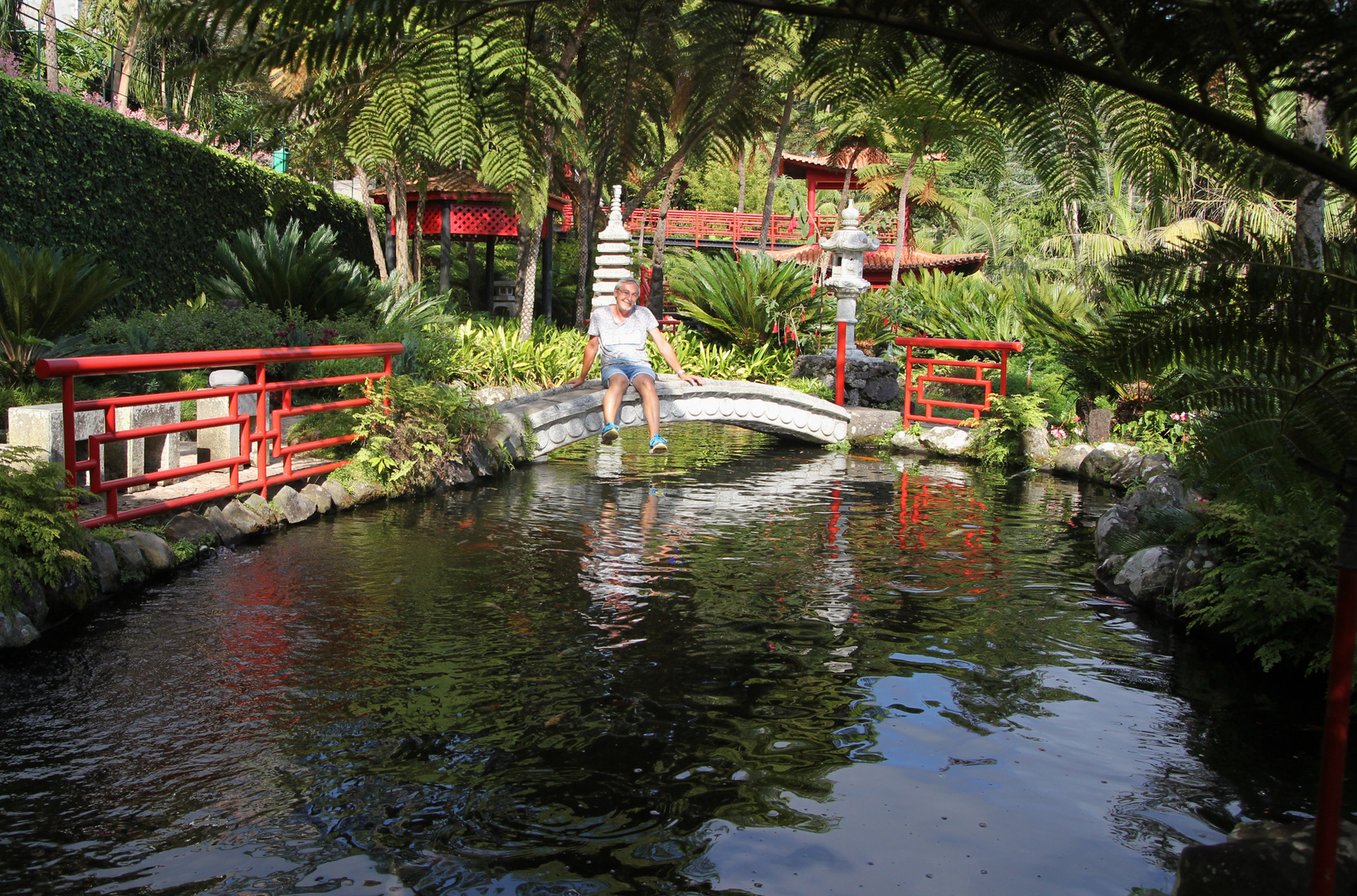 Tropical Garden