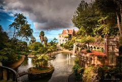 Tropical Garden