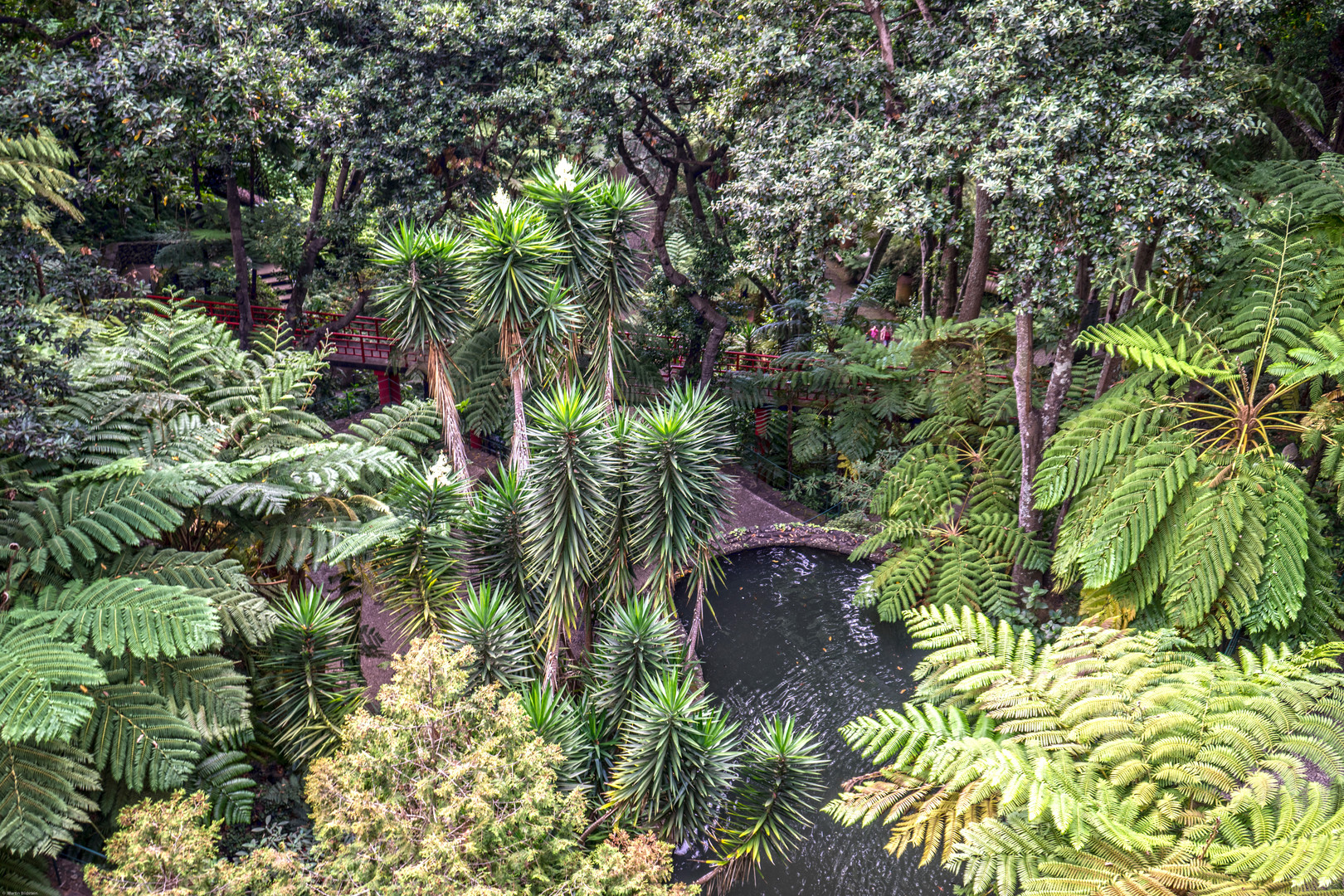 Tropical Garden Madeira