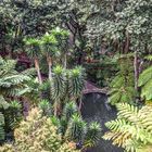 Tropical Garden Madeira