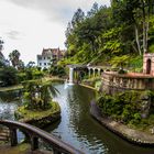 Tropical Garden, Monte, Madeira