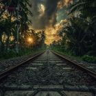Tropical Railway
