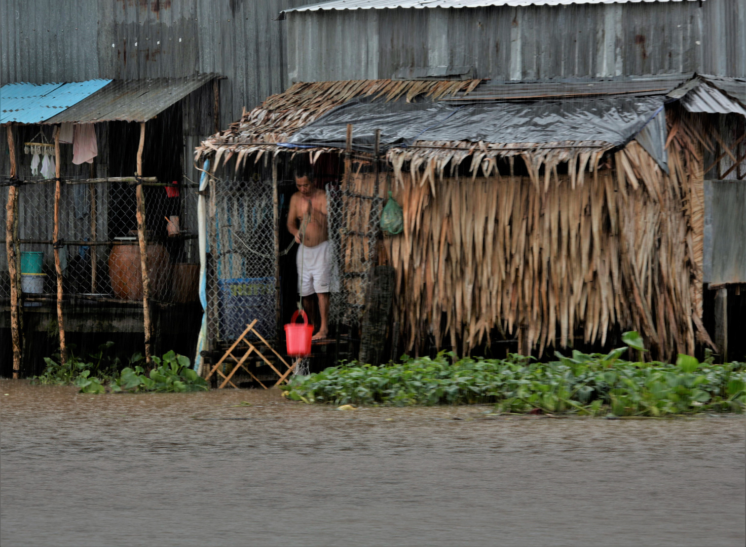 Tropical rain  2