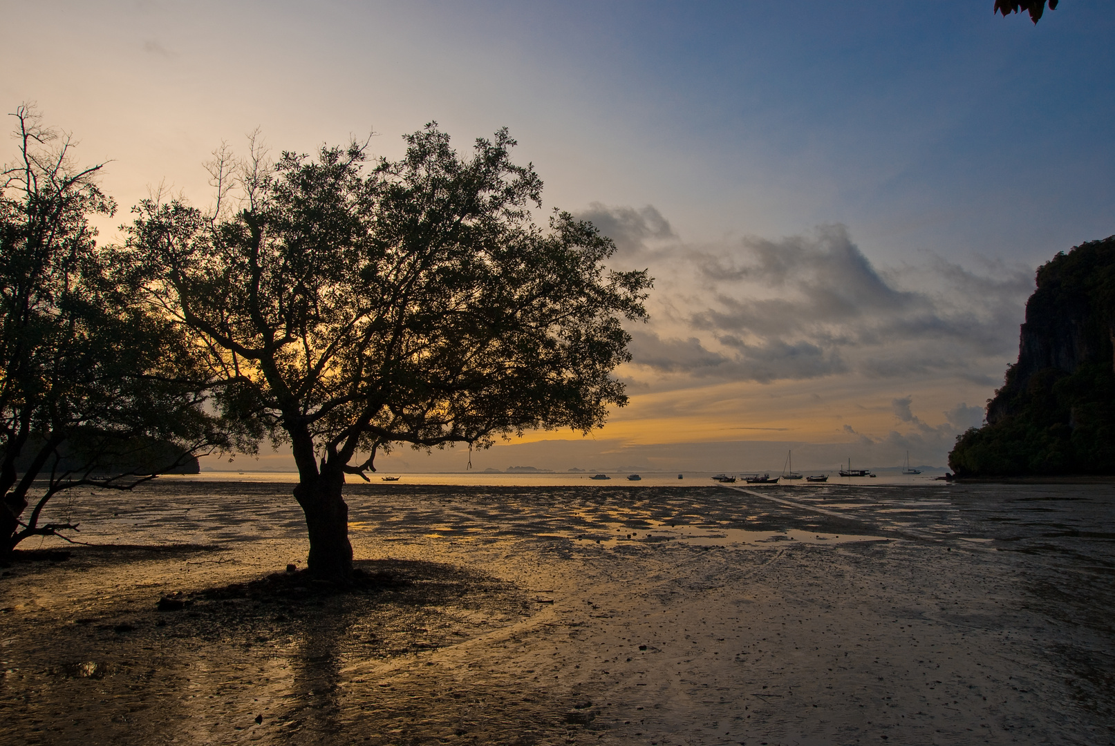 Tropical Sunrise