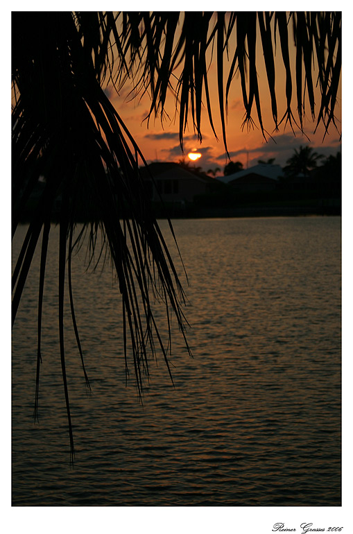 Tropical Sunset