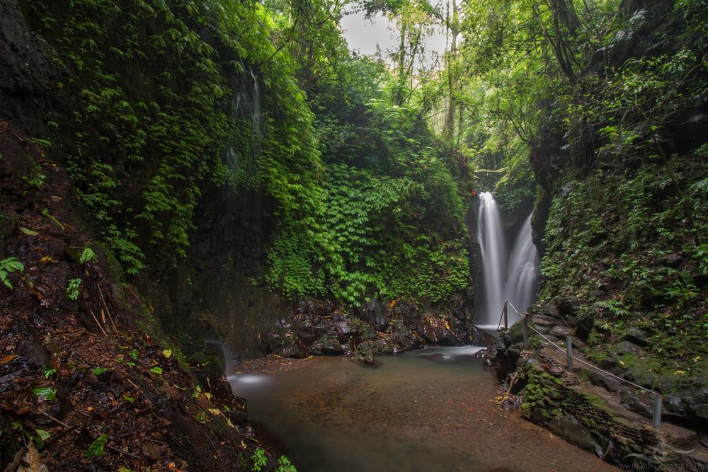 Tropical Waterfall