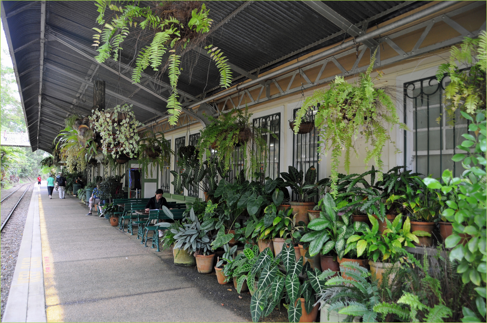 Tropische Gärten am Bahnhof von Kuranda