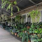 Tropische Gärten am Bahnhof von Kuranda