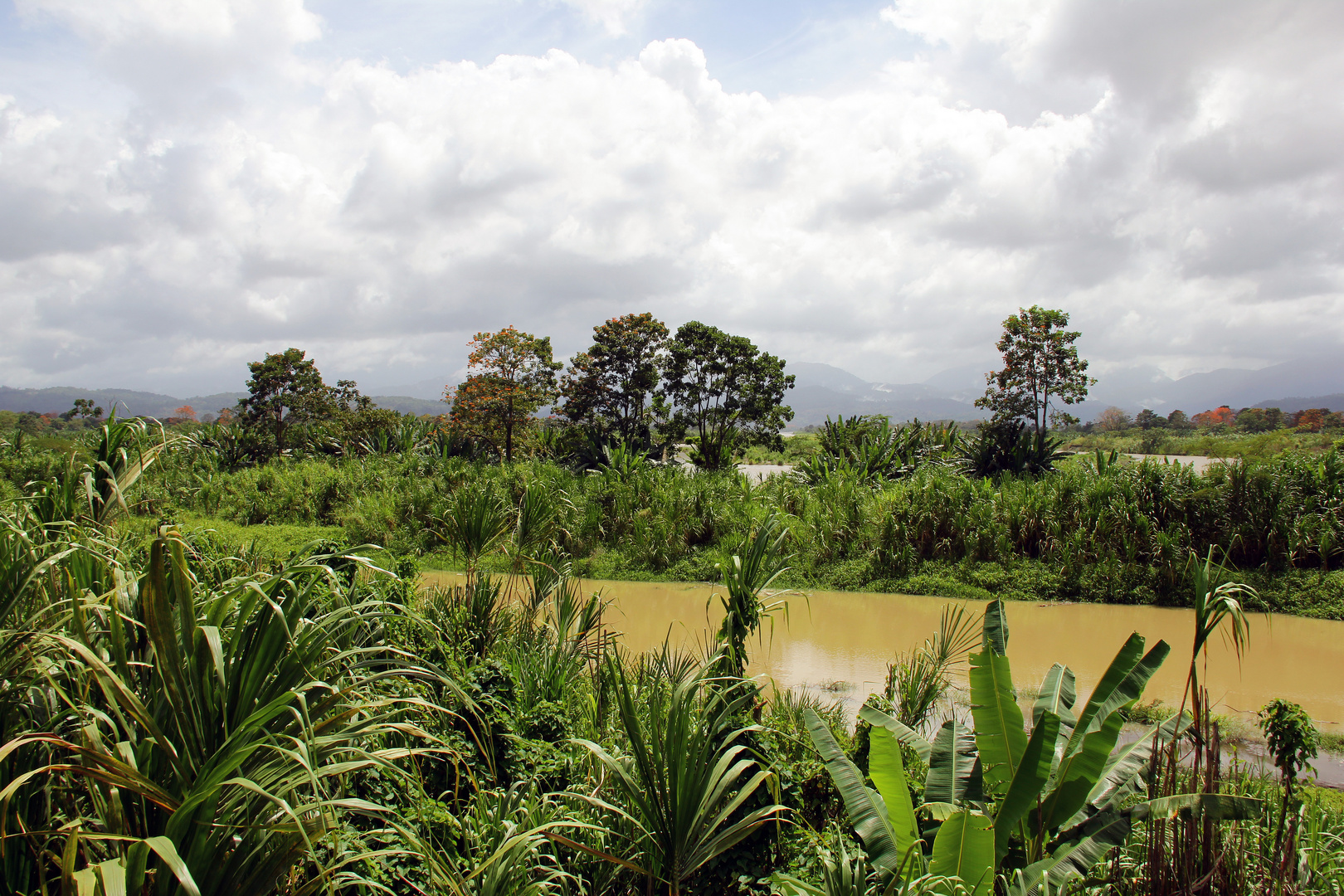 Tropische Landschaft - Costa Rica